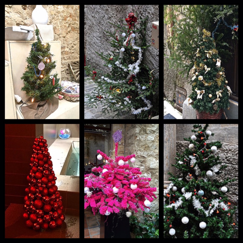 European Christmas Trees